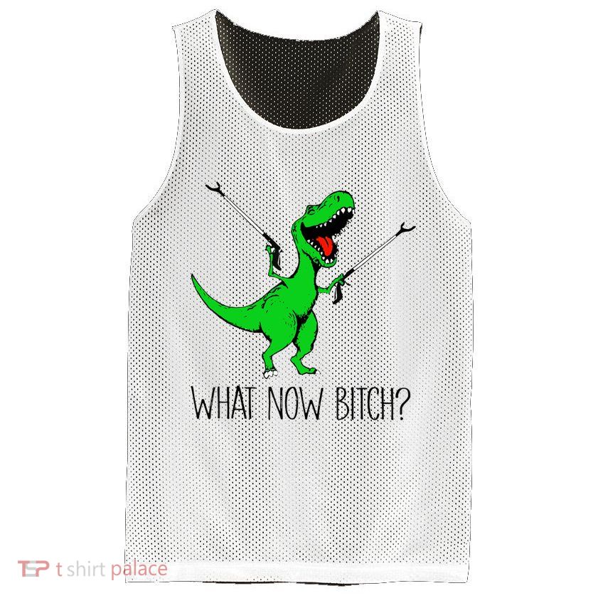 TRex Dinosaur What Now Bitch Funny Tyrannosaurus Rex TShirt Mesh Reversible Basketball Jersey Tank