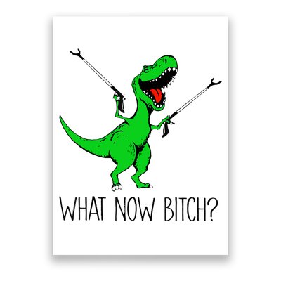 TRex Dinosaur What Now Bitch Funny Tyrannosaurus Rex TShirt Poster