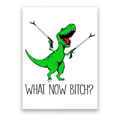 TRex Dinosaur What Now Bitch Funny Tyrannosaurus Rex TShirt Poster