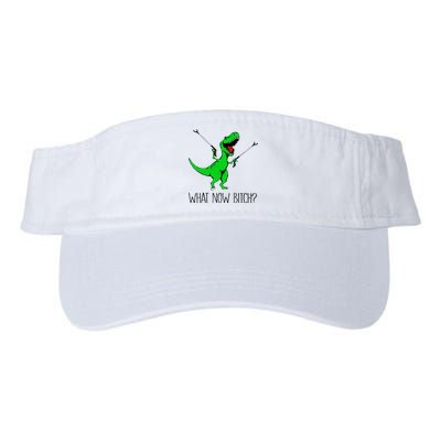 TRex Dinosaur What Now Bitch Funny Tyrannosaurus Rex TShirt Valucap Bio-Washed Visor