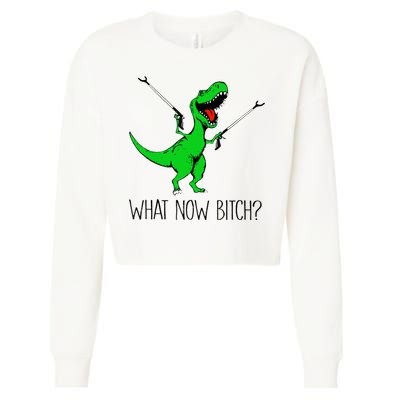 TRex Dinosaur What Now Bitch Funny Tyrannosaurus Rex TShirt Cropped Pullover Crew