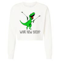 TRex Dinosaur What Now Bitch Funny Tyrannosaurus Rex TShirt Cropped Pullover Crew