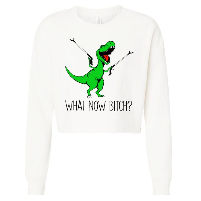 TRex Dinosaur What Now Bitch Funny Tyrannosaurus Rex TShirt Cropped Pullover Crew