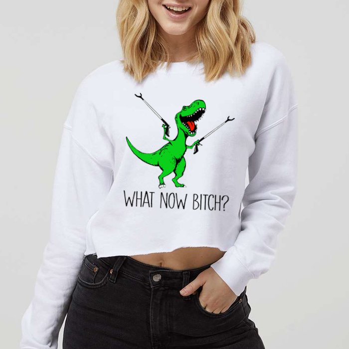 TRex Dinosaur What Now Bitch Funny Tyrannosaurus Rex TShirt Cropped Pullover Crew