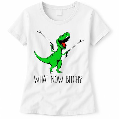 TRex Dinosaur What Now Bitch Funny Tyrannosaurus Rex TShirt Womens T-Shirt
