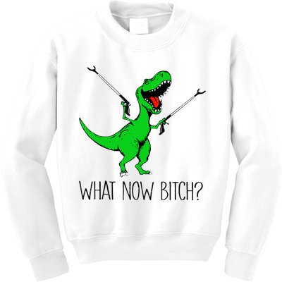 TRex Dinosaur What Now Bitch Funny Tyrannosaurus Rex TShirt Kids Sweatshirt