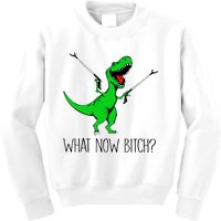 TRex Dinosaur What Now Bitch Funny Tyrannosaurus Rex TShirt Kids Sweatshirt