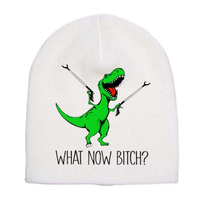 TRex Dinosaur What Now Bitch Funny Tyrannosaurus Rex TShirt Short Acrylic Beanie