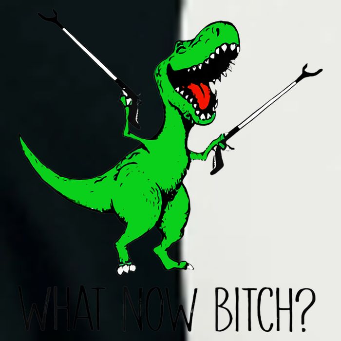 TRex Dinosaur What Now Bitch Funny Tyrannosaurus Rex TShirt Infant Baby Jersey Bodysuit