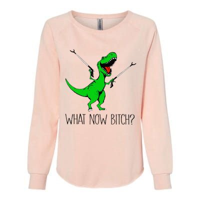 TRex Dinosaur What Now Bitch Funny Tyrannosaurus Rex Womens California Wash Sweatshirt