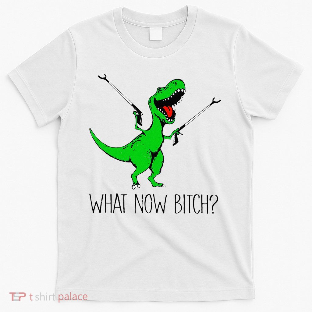 TRex Dinosaur What Now Bitch Funny Tyrannosaurus Rex T-Shirt