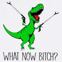 TRex Dinosaur What Now Bitch Funny Tyrannosaurus Rex Sustainable Bucket Hat