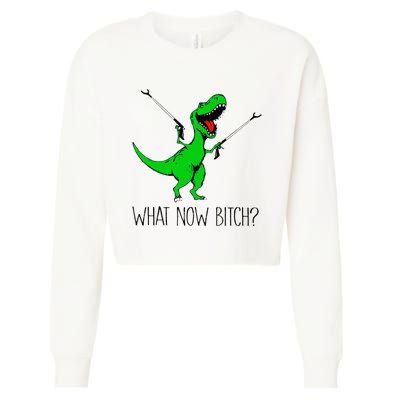 TRex Dinosaur What Now Bitch Funny Tyrannosaurus Rex Cropped Pullover Crew