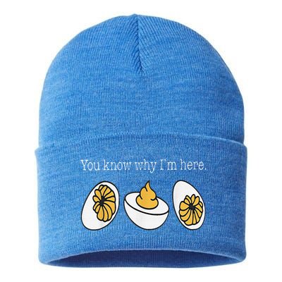 Thanksgiving Dinner You Know Why Im Here Deviled Egg Sustainable Knit Beanie