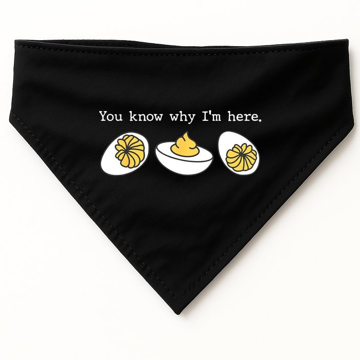 Thanksgiving Dinner You Know Why IM Here Deviled Egg USA-Made Doggie Bandana