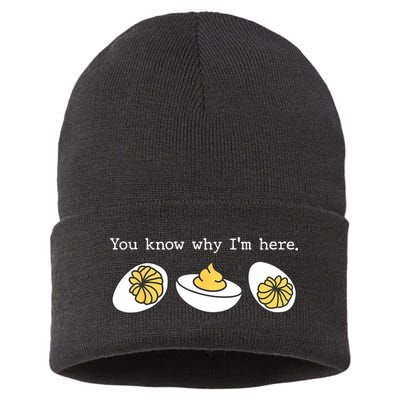 Thanksgiving Dinner You Know Why IM Here Deviled Egg Sustainable Knit Beanie