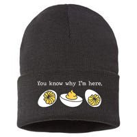 Thanksgiving Dinner You Know Why IM Here Deviled Egg Sustainable Knit Beanie