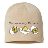 Thanksgiving Dinner You Know Why IM Here Deviled Egg Sustainable Beanie