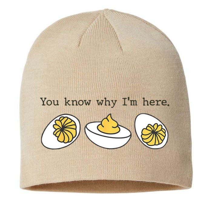 Thanksgiving Dinner You Know Why IM Here Deviled Egg Sustainable Beanie