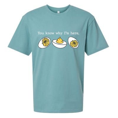 Thanksgiving Dinner You Know Why IM Here Deviled Egg Sueded Cloud Jersey T-Shirt
