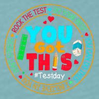 Test Day You Got This Rock The Test Testing Day Sueded Cloud Jersey T-Shirt