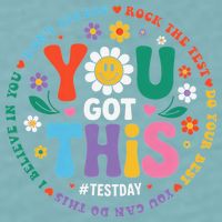 Test Day You Got This Rock The Test Teacher Testing Day Sueded Cloud Jersey T-Shirt