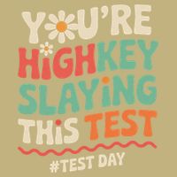 Test Day Youre Highkey Slaying This Test Teacher Hoodie