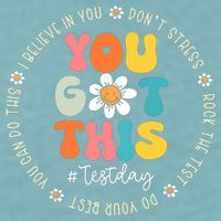 Test Day You Got This Rock The Test Teacher Testing Day Sueded Cloud Jersey T-Shirt