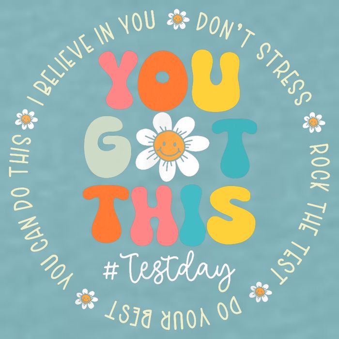 Test Day You Got This Rock The Test Teacher Testing Day Sueded Cloud Jersey T-Shirt