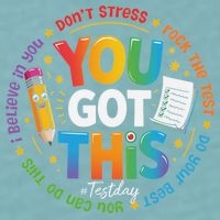 Test Day You Got This Rock The Test Teacher Testing Day Sueded Cloud Jersey T-Shirt