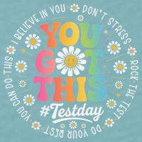 Test Day You Got This Rock The Test Teacher Testing Day Sueded Cloud Jersey T-Shirt
