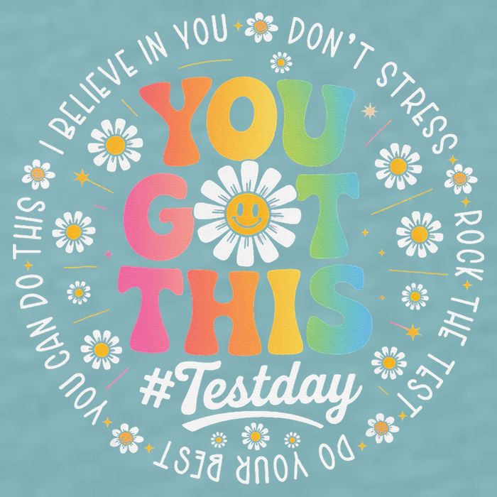 Test Day You Got This Rock The Test Teacher Testing Day Sueded Cloud Jersey T-Shirt