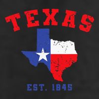 Texas Est 1845 Texas Pride Home State Texan Adult Drive Performance Visor