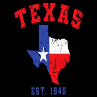 Texas Est. 1845 Texas Pride Home State Texan 16 in Basic Backpack