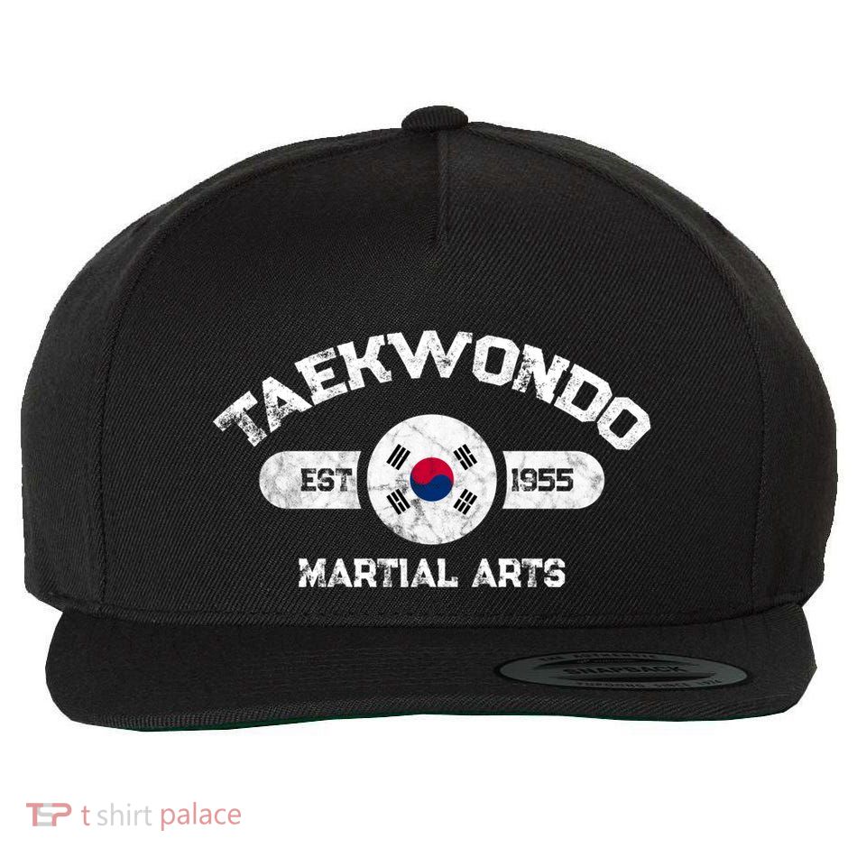 Taekwondo Established 1955 Tae Kwon Do Gift Martial Arts Gift Wool Snapback Cap