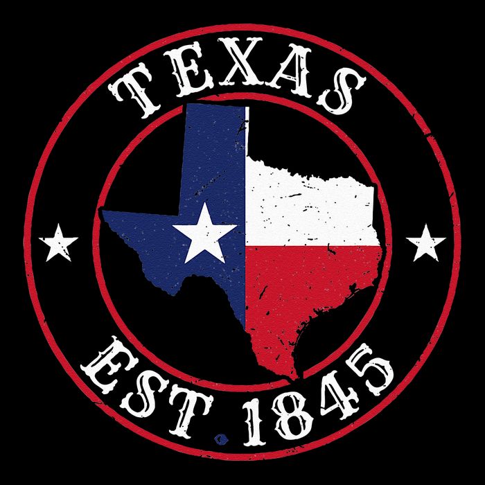 Texas Est 1845 Texan Home State Texas Pride Apron