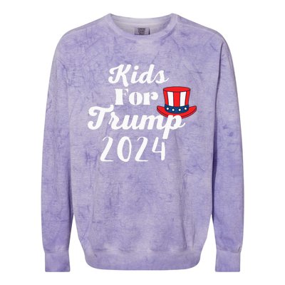 Trump Election 2024 Colorblast Crewneck Sweatshirt