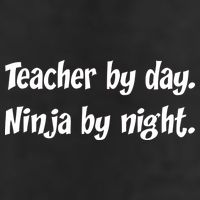Teacher By Day Ninja By Night Adult Drive Performance Visor