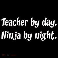 Teacher By Day Ninja By Night Poster