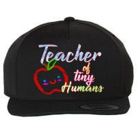 Teacher Of Tiny Humans Wool Snapback Cap