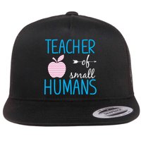 Teacher Of Tiny Humans Apple Flatbill Hat
