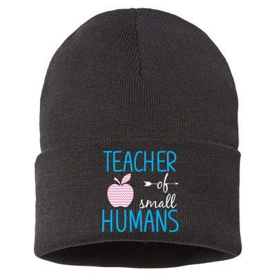 Teacher Of Tiny Humans Apple Sustainable Knit Beanie