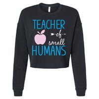 Teacher Of Tiny Humans Apple Cropped Pullover Crew