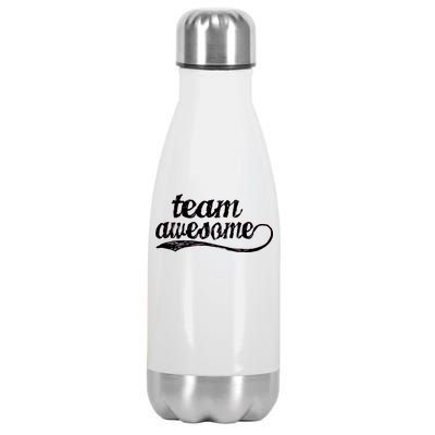 Team Awesome Retro Stainless Steel Insulated Water Bottle