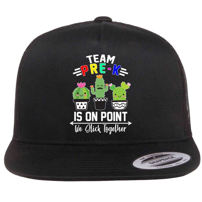 Team Pre-K Is On Point Flatbill Hat