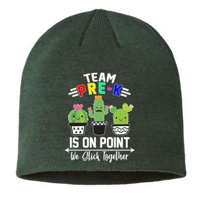 Team Pre-K Is On Point Sustainable Beanie