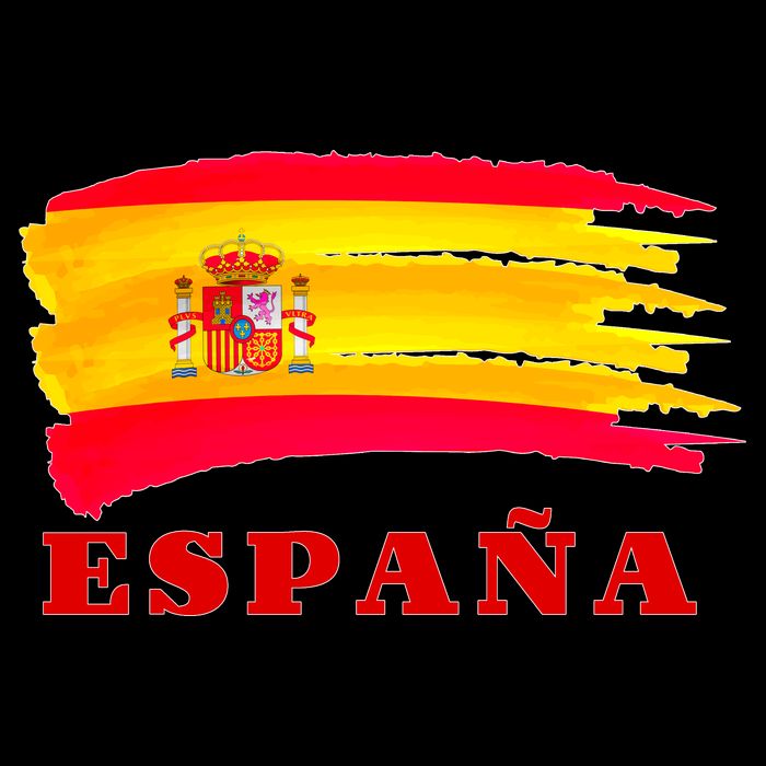 Team Spain Espana Flag 16 in Basic Backpack