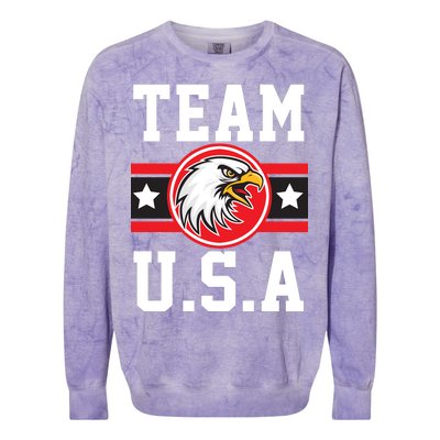 Team U.S.A. Logo Colorblast Crewneck Sweatshirt