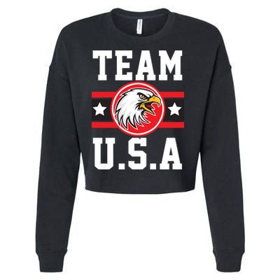 Team U.S.A. Logo Cropped Pullover Crew