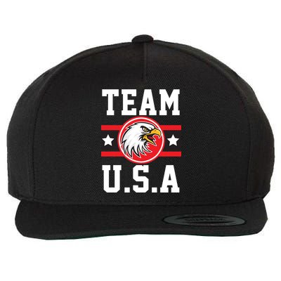 Team U.S.A. Logo Wool Snapback Cap